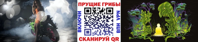 Галлюциногенные грибы Psilocybe  Тутаев 